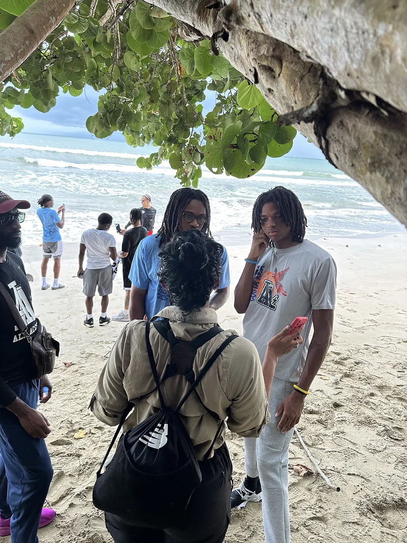 People gathered on a beach under a large tree near the ocean.